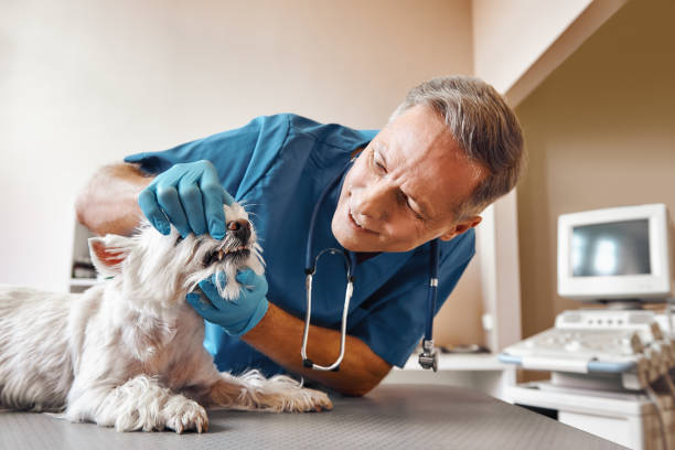 Best Emergency Tooth Extraction in Franklinton, NC